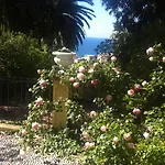 Provenzale *