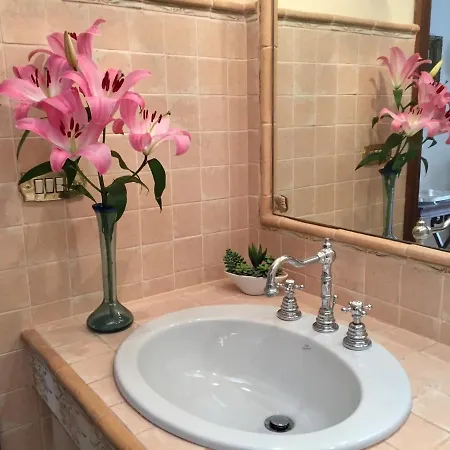 Provenzale Σαν Ρέμο