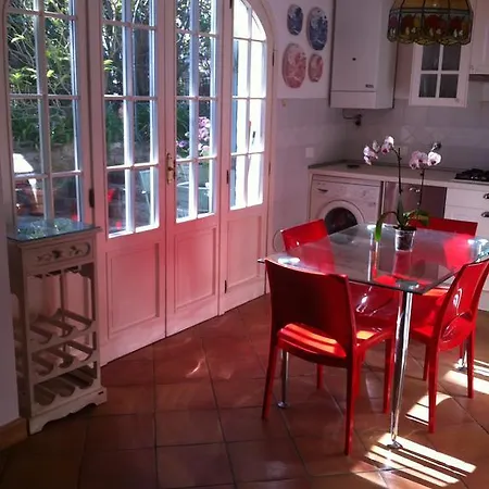 Provenzale * Σαν Ρέμο